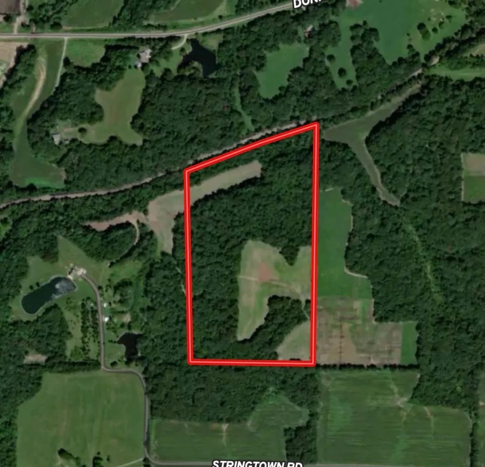 40 Acres in Bond County. featured image
