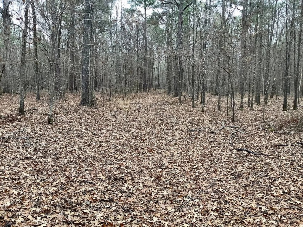 Benton Elementary Homesite featured image