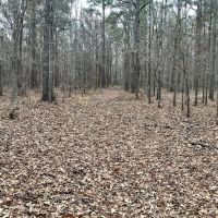Benton Elementary Homesite