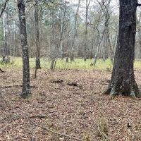 Benton Elementary Homesite images 2
