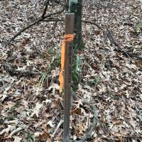 Benton Elementary Homesite images 3