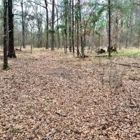 Benton Elementary Homesite images 4