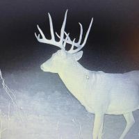 Southeast Oklahoma s Premier Conservation Property For Sale images 4