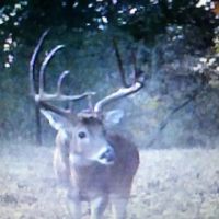 Southeast Oklahoma s Premier Conservation Property For Sale images 5
