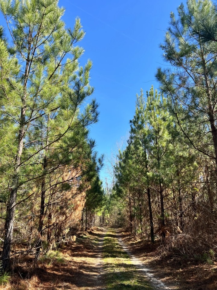 29-124-townsend-creek-farm featured image