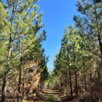 29-124-townsend-creek-farm
