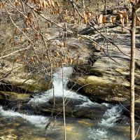 29-124-townsend-creek-farm images 2