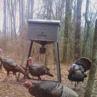 29-124-townsend-creek-farm images 3
