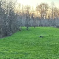 LA - Franklin 50 acres - images 2