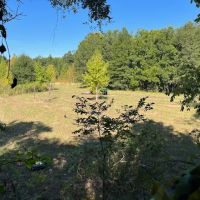 LA - Franklin 50 acres - images 4