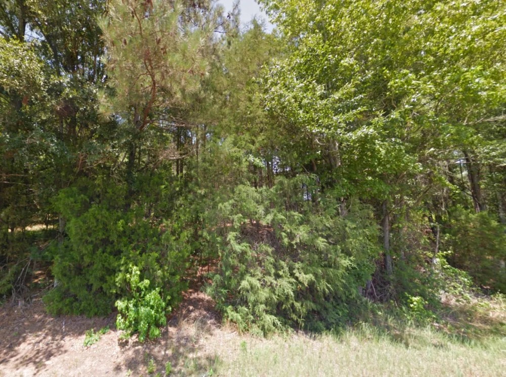 Rural Wooded 2 Acre Lot - Mobile Home Allowed featured image