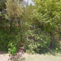 Rural Wooded 2 Acre Lot - Mobile Home Allowed