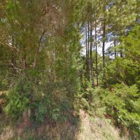 Rural Wooded 2 Acre Lot - Mobile Home Allowed images 2