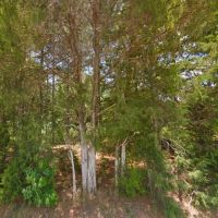 Rural Wooded 2 Acre Lot - Mobile Home Allowed images 3