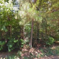 Rural Wooded 2 Acre Lot - Mobile Home Allowed images 4