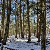 Picture Perfect Views images 4