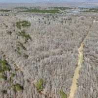550 Acre Hunting Property w Camp Ouachita River images 3