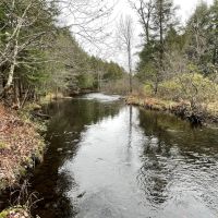 Camp Mad River images 3