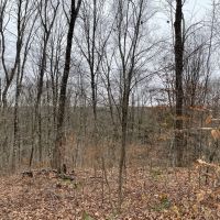 Camp Mad River images 4