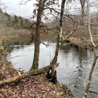 Camp Mad River images 5