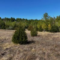 Dominey 178 images 4