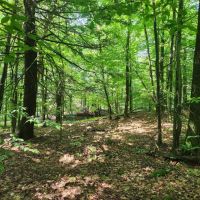 Ready to Build Near Oneida Lake