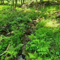 Ready to Build Near Oneida Lake images 5