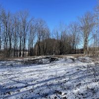 Florence Woods and Meadows images 2