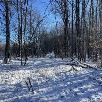 Florence Woods and Meadows images 3