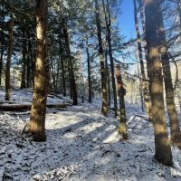 Florence Woods and Meadows images 5