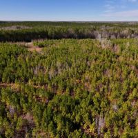 11.51 acres of Recreational and Residential Land For Sale in Moore County NC images 4
