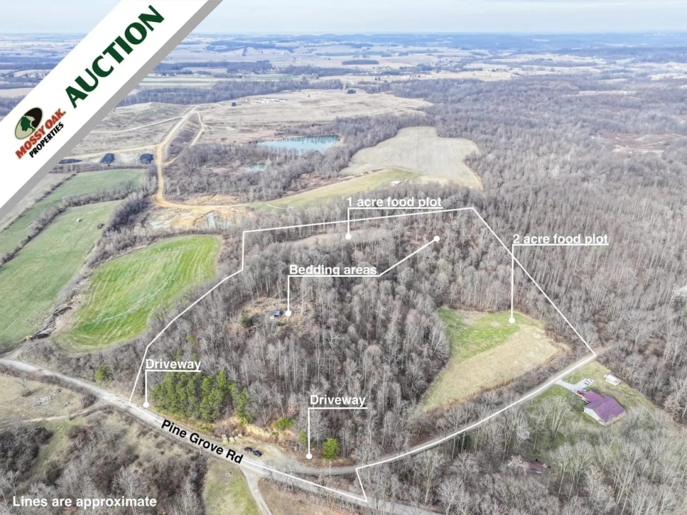 Auction - 17.97 acres - Fairfield County featured image