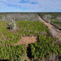 11.63 acres of Recreational and Residential Land For Sale in Moore County NC images 3