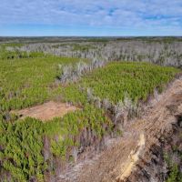 11.63 acres of Recreational and Residential Land For Sale in Moore County NC images 4
