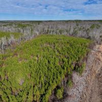 11.63 acres of Recreational and Residential Land For Sale in Moore County NC images 5