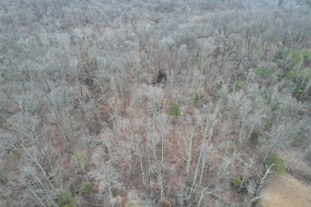 Land For Sale in Dubois County 30 Acres - featured image