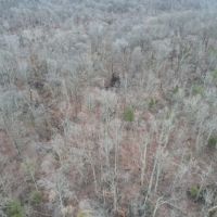 Land For Sale in Dubois County 30 Acres -