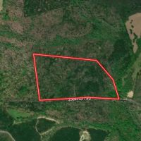 34 Acres of Residential Recreational Land For Sale in Cumberland County VA