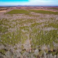 34 Acres of Residential Recreational Land For Sale in Cumberland County VA images 3
