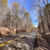 34 Acres of Residential Recreational Land For Sale in Cumberland County VA images 4