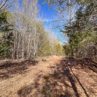 34 Acres of Residential Recreational Land For Sale in Cumberland County VA images 5