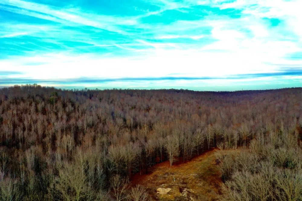87-Acre Tract mintes from I-40 and Kentucky Lake featured image