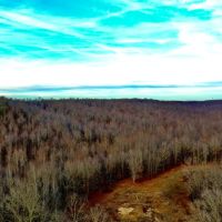 87-Acre Tract mintes from I-40 and Kentucky Lake