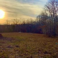 87-Acre Tract mintes from I-40 and Kentucky Lake images 2