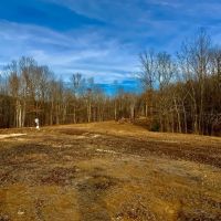 87-Acre Tract mintes from I-40 and Kentucky Lake images 3