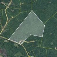 87-Acre Tract mintes from I-40 and Kentucky Lake images 4