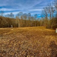 87-Acre Tract mintes from I-40 and Kentucky Lake images 5