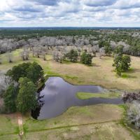 66 Acres Phelps Slab Road images 2