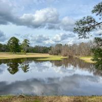 66 Acres Phelps Slab Road images 3