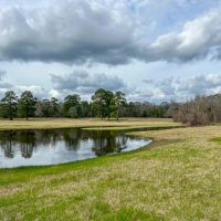 66 Acres Phelps Slab Road images 4